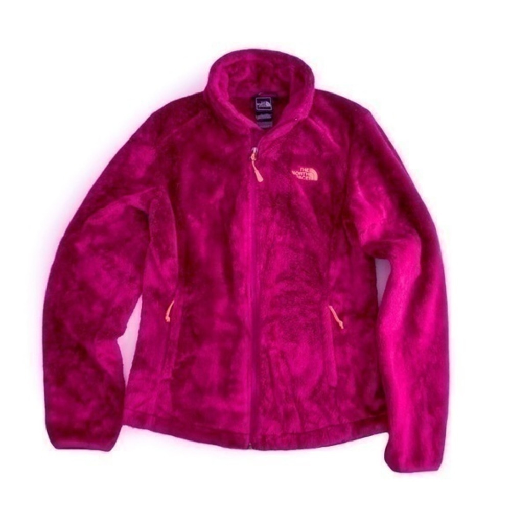 The North Face Dramatic Plum Jacket - image 4